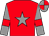 Red, grey star, grey sleeves, red armlets, quartered cap (Village Racing)