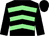 Black, light green chevrons, black sleeves and cap (Mr M A Reay)