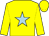 Yellow, light blue star (Mrs H Munn, Mr R E Good, Mr B Case)