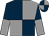 Dark Blue and Grey quarters, Dark blue and grey halved sleeves, Quartered cap (M Nadji)
