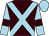 Brown, light blue cross belts, light blue sleeves, brown armlets, light blue cap (Mr Robert Jenkinson)
