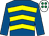 Royal blue & yellow chevrons, royal blue sleeves, white cap, emerald green spots (CJ & T Syndicate)