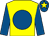 Yellow, royal blue disc, royal blue sleeves, royal blue cap, yellow star (P Cleary)