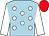 Light blue, white spots and sleeves, red cap (Miss K L Leonard)
