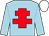 Light blue, red cross of lorraine, white cap (Novano Syndicate)