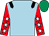 Light blue, black epaulets, red sleeves, white stars, emerald green cap (Mark E Smith & The Bb Pony Gang 5)