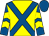 Yellow, royal blue cross belts, royal blue and yellow chevrons on sleeves, royal blue cap (Barbury Lions 5)