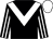 Black, white chevron, striped sleeves, white cap (Ms Maria Kelly)