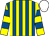 Royal blue and yellow stripes, yellow and royal blue hooped sleeves, white cap (The Danum Partnership)