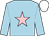 Light blue, pink star, white cap (Mr David M Williams)