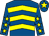Royal blue, yellow chevrons, royal blue sleeves, yellow stars, royal blue cap, yellow star (Mr Michael Geoghegan)