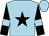 Light blue, black star, black sleeves, light blue armlets (Woods)