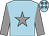 Light blue, grey star & sleeves, grey stars on cap (Aishling O'Neill & Mrs Janeanne O'Neill)