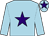 Light blue, purple star and star on cap (McNeill Family And Prodec Networks Ltd)