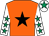 Orange, black star, white sleeves, emerald green stars, white cap, emerald green star (Mrs J Williams & Mr R Stark)