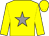 Yellow, grey star, yellow cap (Paul Traynor)