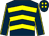 Dark blue & yellow chevrons, yellow seams on sleeves, dark blue cap, yellow spots (Brooklawn Syndicate)