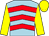 Light blue, red chevrons, yellow sleeves and cap (Neil Mulholland Racing Club)