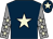 Dark blue, beige star, grey sleeves, beige stars, dark blue cap, beige star (Mr Simon Davies)