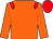 Orange, red epaulets, red cap (I Am Wild Syndicate)