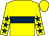 Yellow, dark blue hoop, yellow sleeves, dark blue stars (Mr J M Wall)