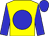 Yellow, blue disc, sleeves and cap (The Guaranteed Success Syndicate)