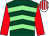 Dark green, light green chevrons, red sleeves, white and red striped cap (Mr P J Martin & Partner)
