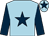 Light blue, dark blue star, sleeves and star on cap (Mr S & Mrs D Everard, A Smith & O Week)