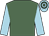 Olive green, light blue sleeves, hooped cap (Mr M R Bosley)