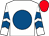 White, royal blue disc, royal blue chevrons on sleeves, red cap (Vanessa Teehan-Rouzier)