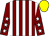 Maroon & white stripes, white stars on sleeves, yellow cap (Festival Dreamers Syndicate)