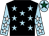 Black, light blue stars, light blue sleeves, white stars, light blue cap, dark green star (Shmelt For Gold)