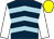 Dark blue, light blue chevrons, white sleeves, yellow cap (Northgate Racing)