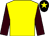 Yellow, brown sleeves, black cap, yellow star (Mr G F White)