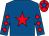 Royal blue, red star, diamonds on sleeves, red cap, royal blue star (Mrs C Hunter & Mr & Mrs M Edwardson)