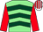 Light green, dark green chevrons, red sleeves, white and red striped cap (Phil & Julie Martin)