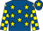 Royal blue, yellow stars, yellow and royal blue check sleeves, royal blue cap, yellow star (Mr Ian Furlong)