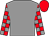 Grey, red and grey check sleeves, red cap (The Anthem Syndicate)