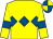 Yellow, royal blue triple diamond and armlets, royal blue and yellow quartered cap (The Hon Lady Heber-percy)
