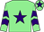 Light green, purple star, chevrons on sleeves, light green cap, purple star (Katie And Brian Castle)