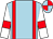 Light blue, red braces, white sleeves, red armlets, light blue and red quartered cap (Kate & Andrew Brooks)