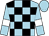 Light blue and black check, light blue sleeves, white armlets, light blue cap (Alan & Sally Coney)