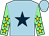 Light blue, dark blue star, light green sleeves, yellow stars, light blue cap (A G Beatty & Mrs Peter Casey)