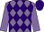 Mauve and purple diamonds, mauve sleeves, purple cap (Lady De Ramsey)
