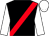 Black, red sash, white sleeves and cap (Nick Brown Racing)