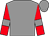 Grey, red sleeves, grey armlets (Miss Alice Haynes)