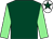 Dark green, light green sleeves, white cap, dark green star (Peter Thome)