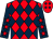 Red and dark blue diamonds, dark blue sleeves, red stars (Mr Christopher John Sprake)