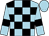 Light blue and black check, light blue sleeves, black armlets, light blue cap (RedHotGardogs)
