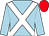 Light blue, white cross belts, red cap (Crimbourne Bloodstock)